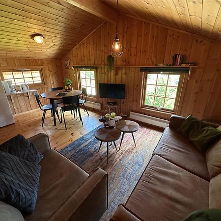 Masaplassen Friisvegen Mountain Lodge Ringebu Exteriér fotografie