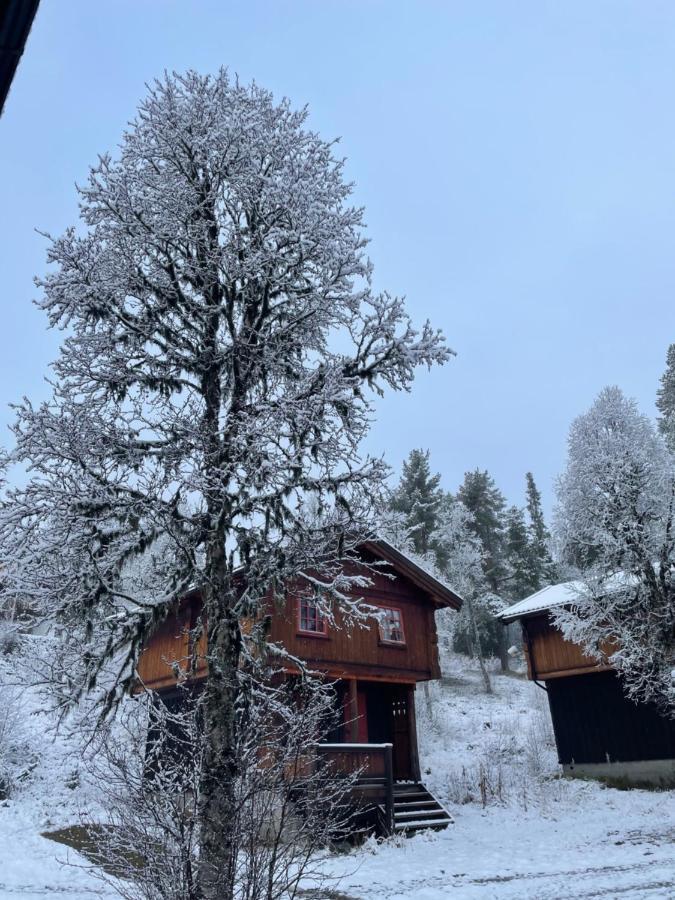 Masaplassen Friisvegen Mountain Lodge Ringebu Exteriér fotografie