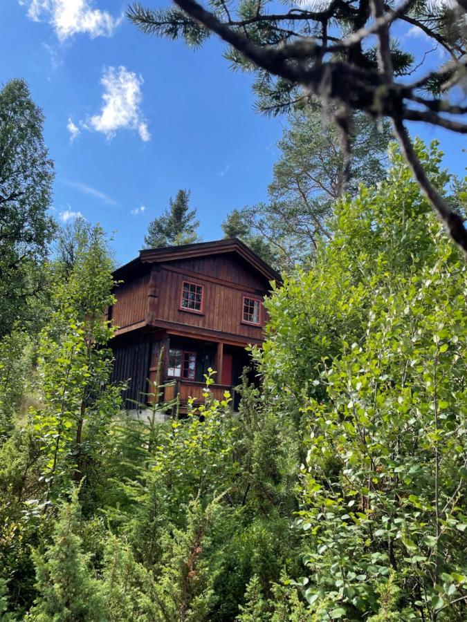 Masaplassen Friisvegen Mountain Lodge Ringebu Exteriér fotografie