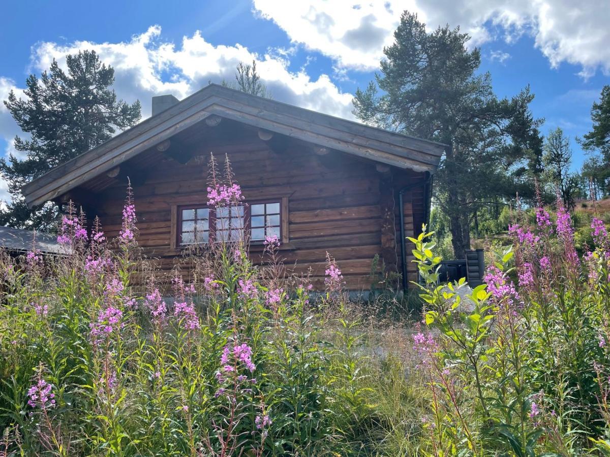Masaplassen Friisvegen Mountain Lodge Ringebu Exteriér fotografie