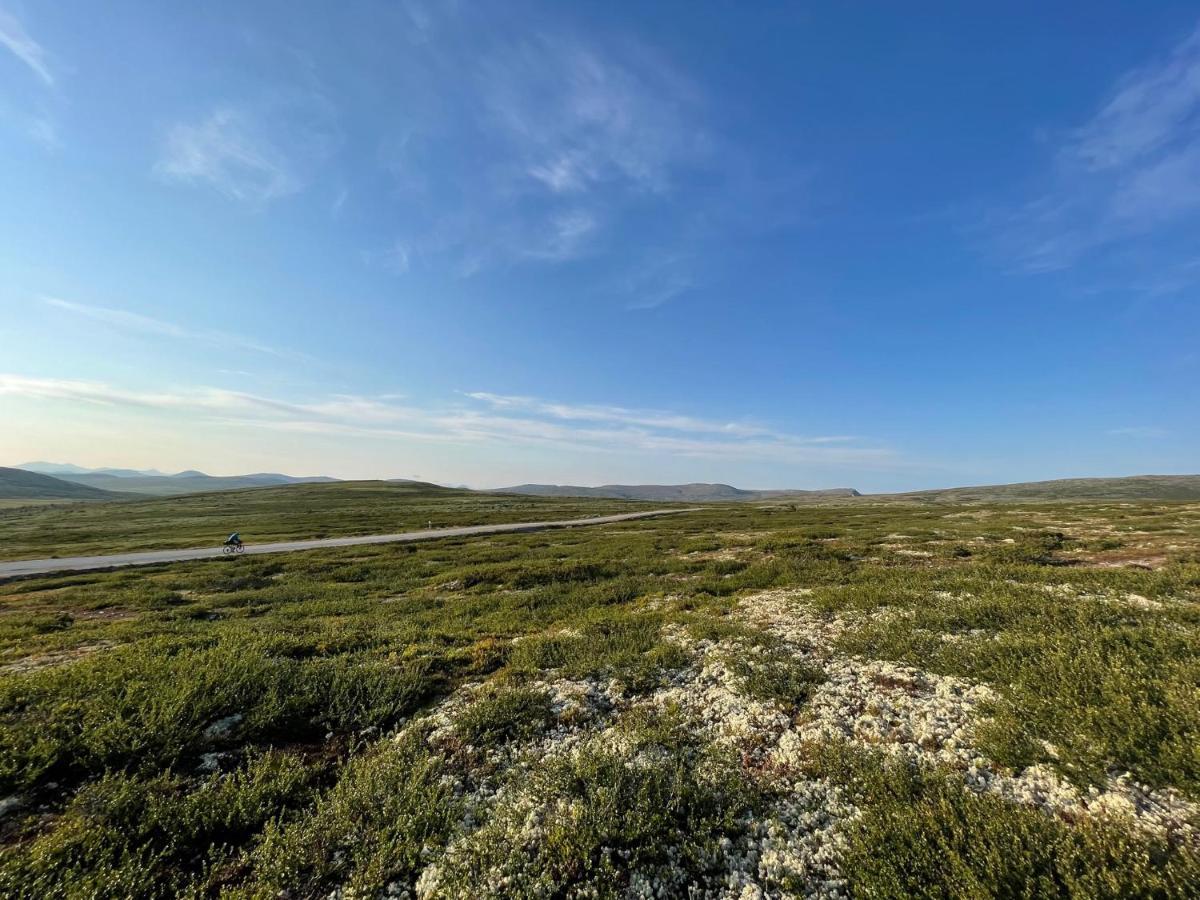 Masaplassen Friisvegen Mountain Lodge Ringebu Exteriér fotografie