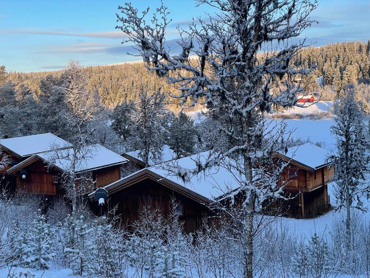 Masaplassen Friisvegen Mountain Lodge Ringebu Exteriér fotografie