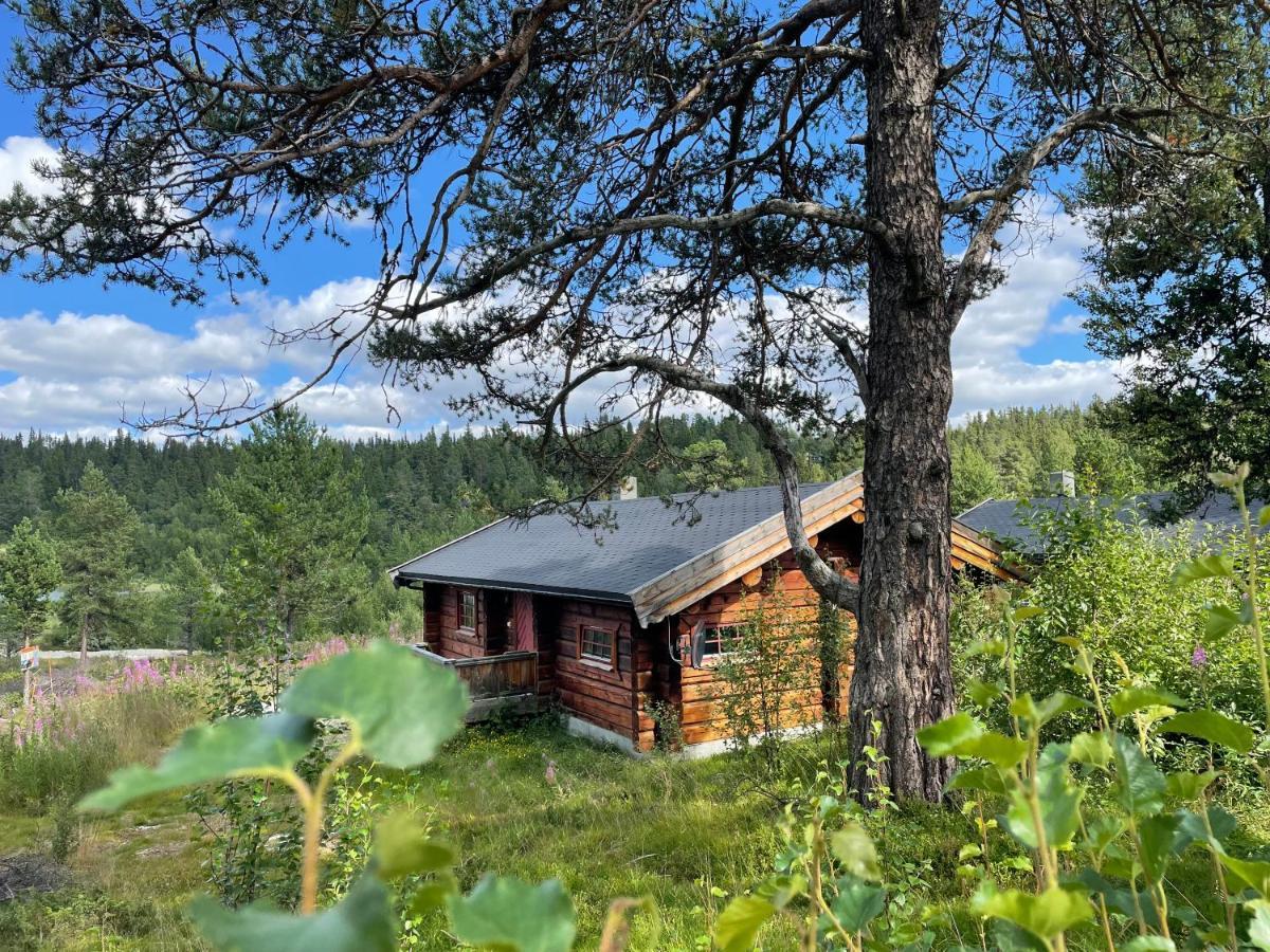 Masaplassen Friisvegen Mountain Lodge Ringebu Exteriér fotografie