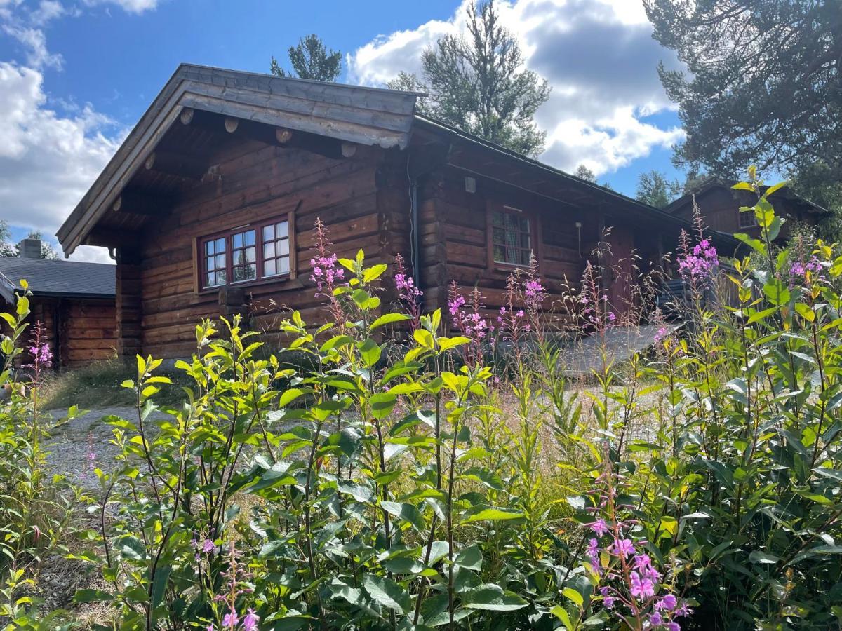Masaplassen Friisvegen Mountain Lodge Ringebu Exteriér fotografie