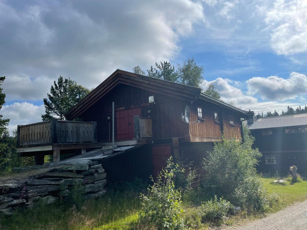 Masaplassen Friisvegen Mountain Lodge Ringebu Exteriér fotografie