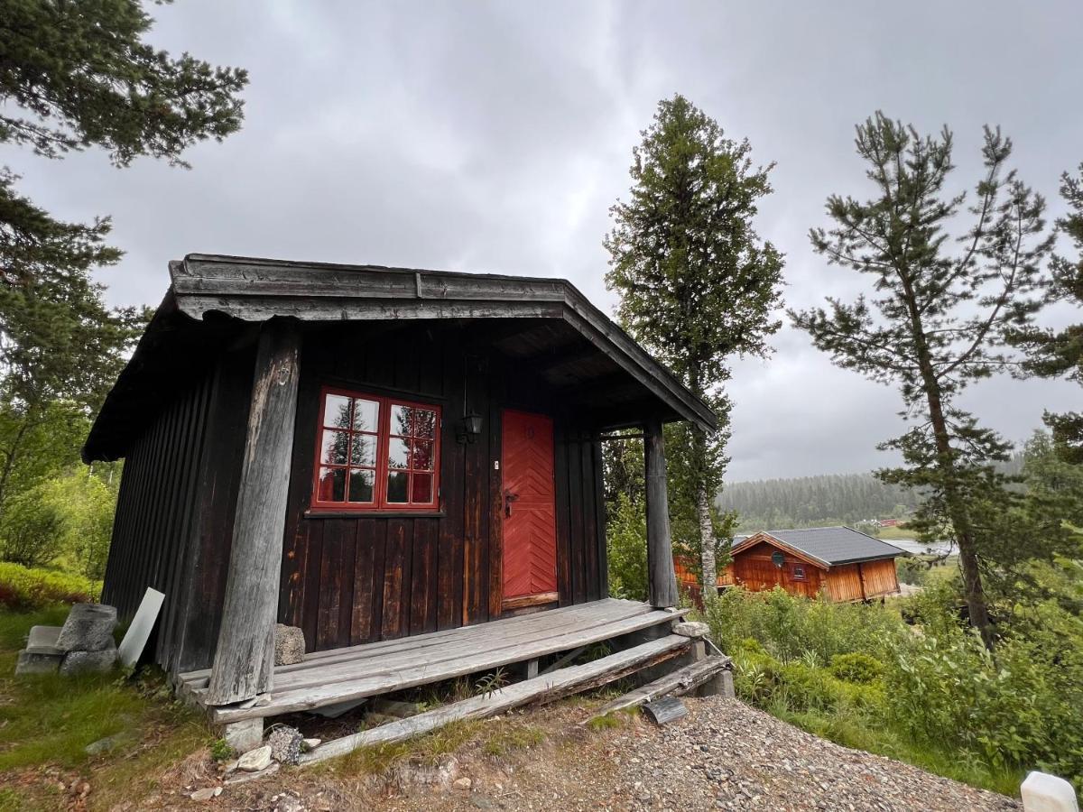 Masaplassen Friisvegen Mountain Lodge Ringebu Exteriér fotografie