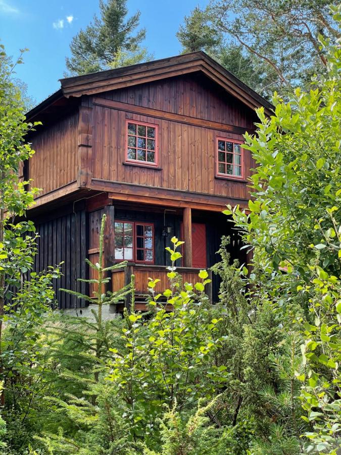 Masaplassen Friisvegen Mountain Lodge Ringebu Exteriér fotografie
