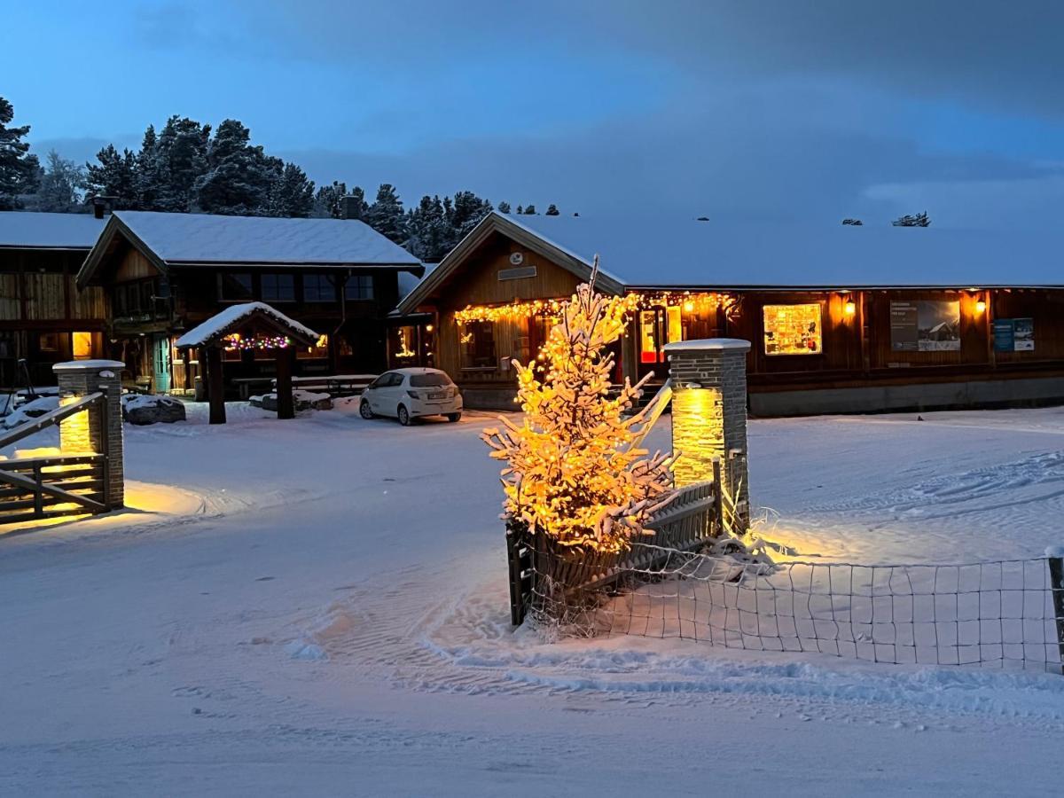 Masaplassen Friisvegen Mountain Lodge Ringebu Exteriér fotografie