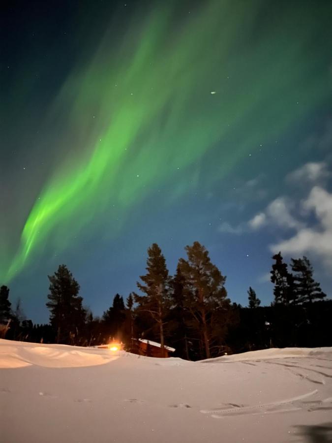Masaplassen Friisvegen Mountain Lodge Ringebu Exteriér fotografie