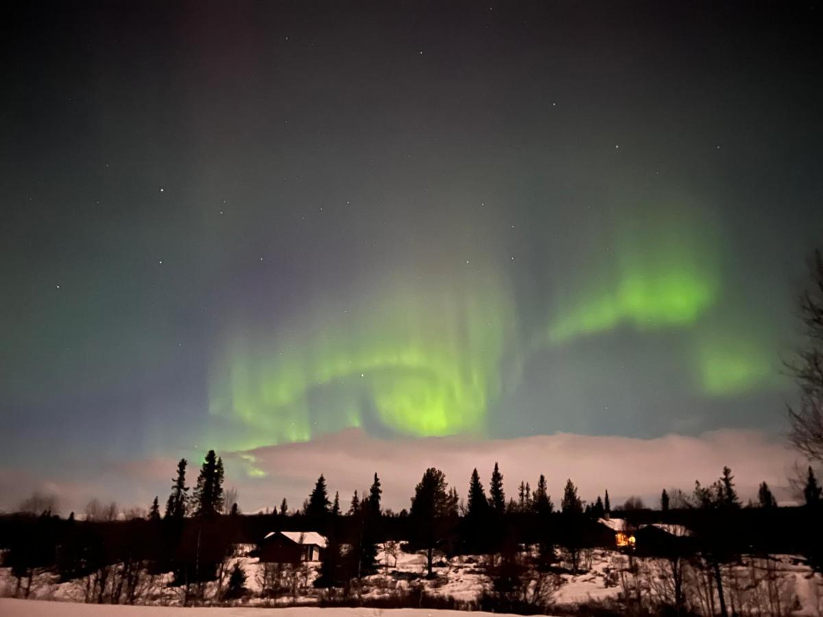 Masaplassen Friisvegen Mountain Lodge Ringebu Exteriér fotografie