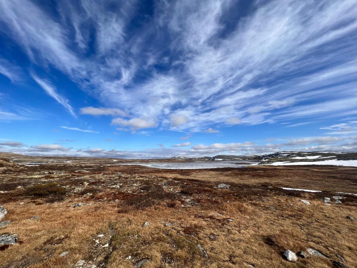 Masaplassen Friisvegen Mountain Lodge Ringebu Exteriér fotografie