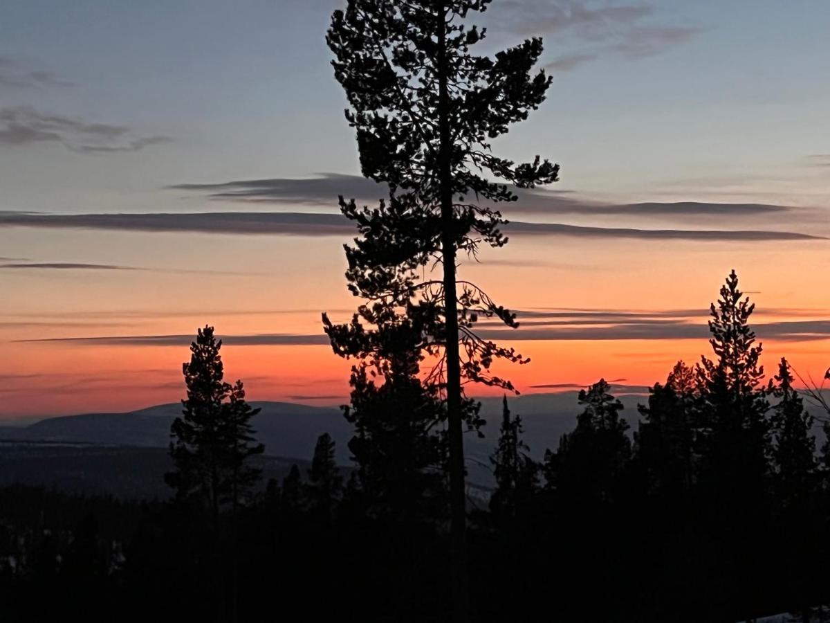 Masaplassen Friisvegen Mountain Lodge Ringebu Exteriér fotografie