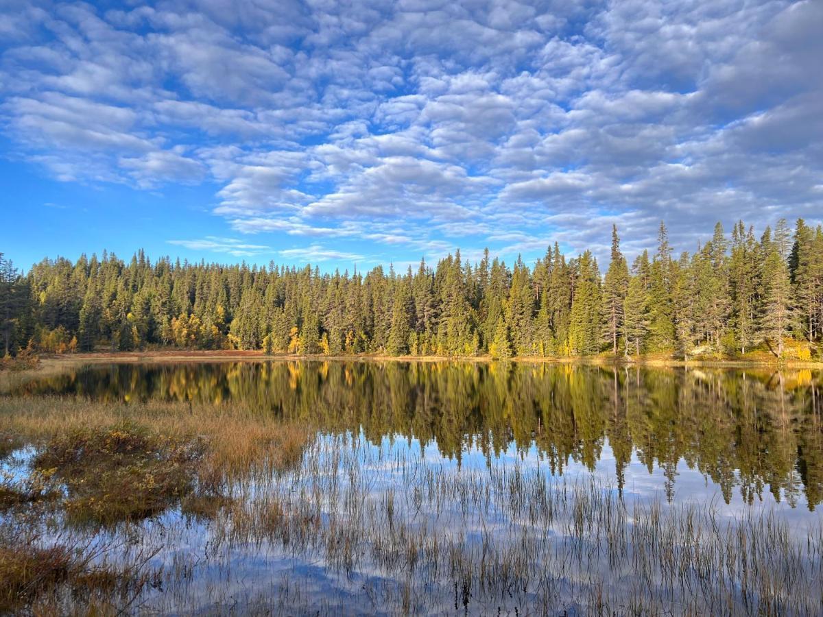 Masaplassen Friisvegen Mountain Lodge Ringebu Exteriér fotografie