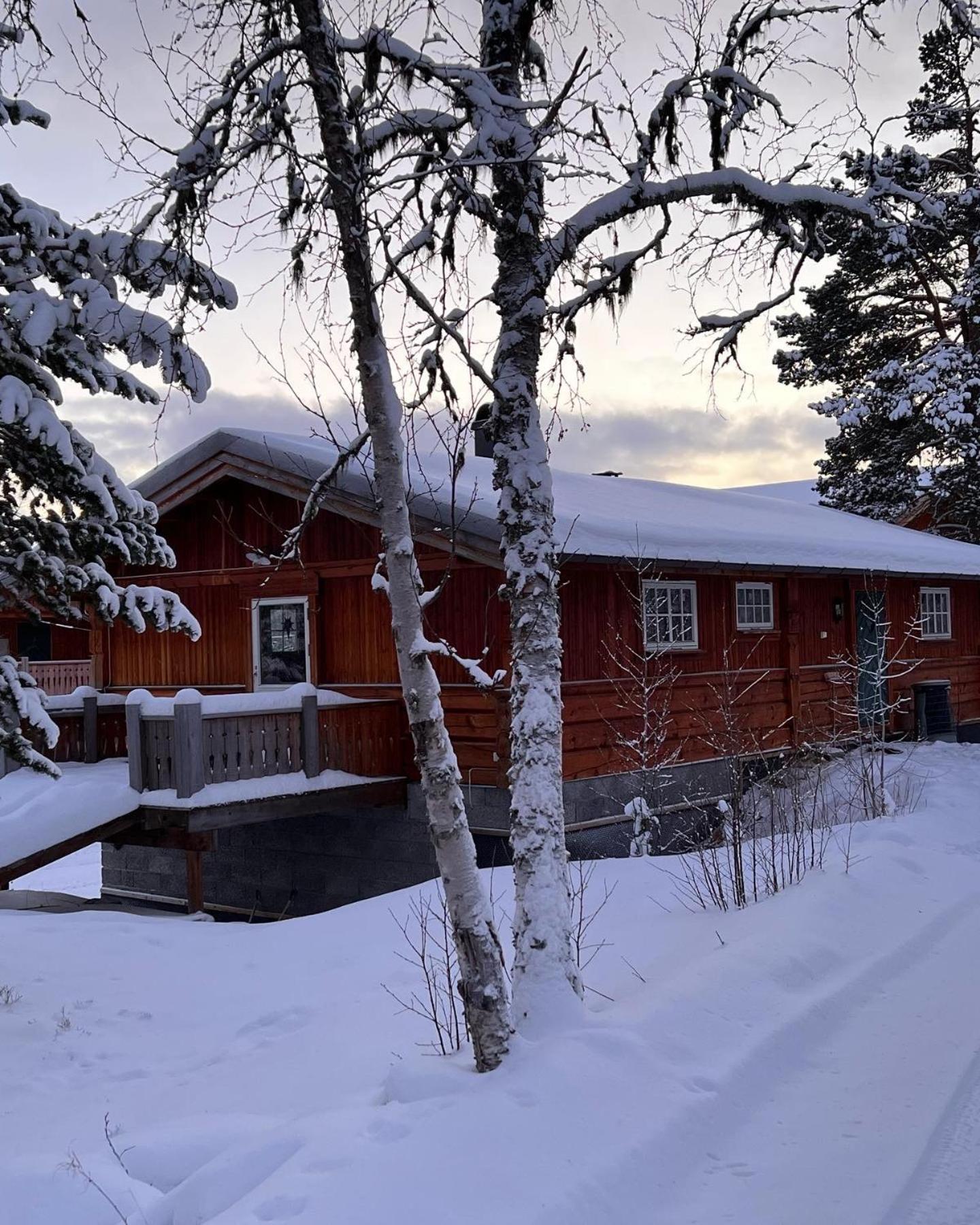 Masaplassen Friisvegen Mountain Lodge Ringebu Exteriér fotografie