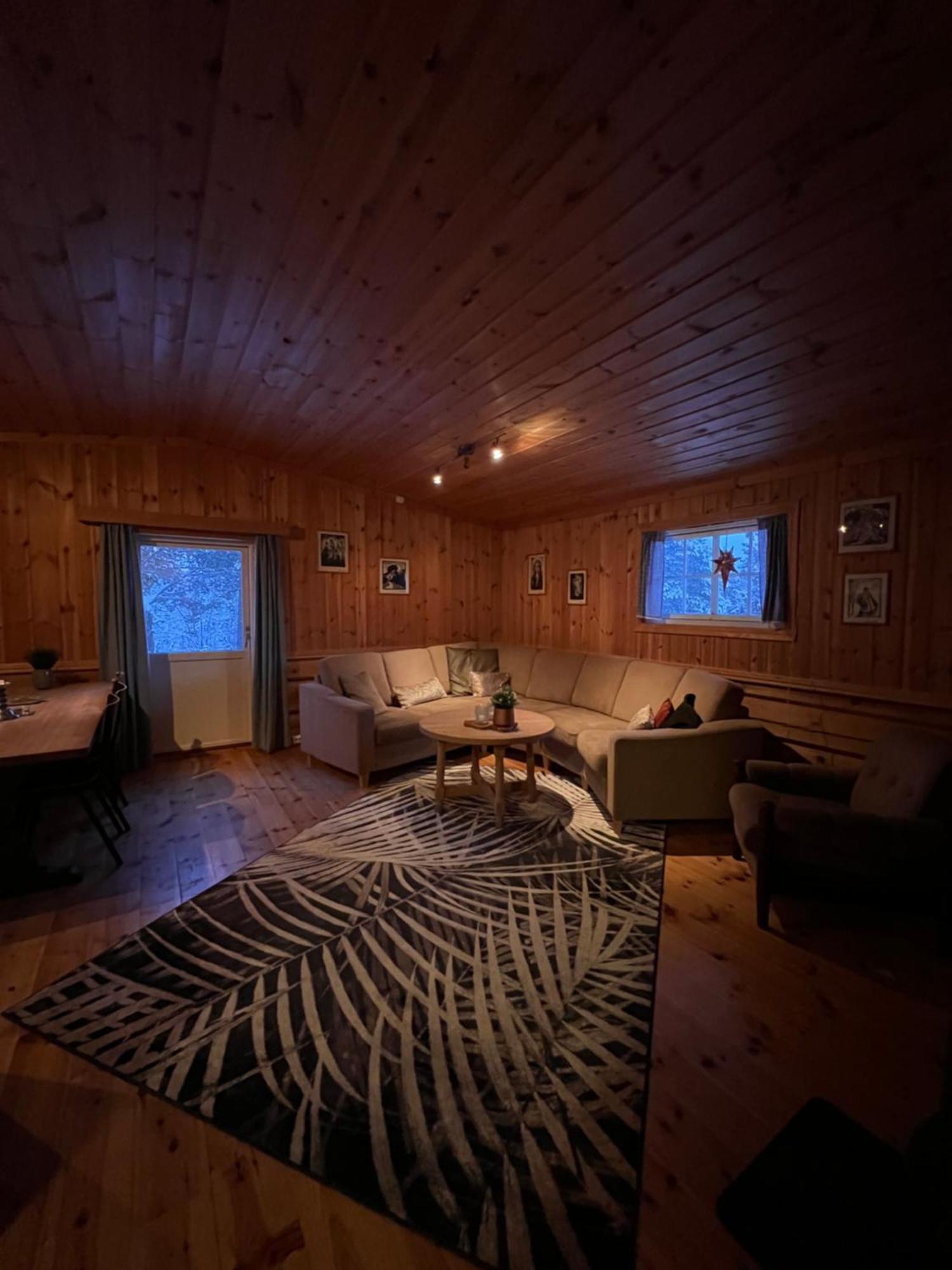 Masaplassen Friisvegen Mountain Lodge Ringebu Exteriér fotografie