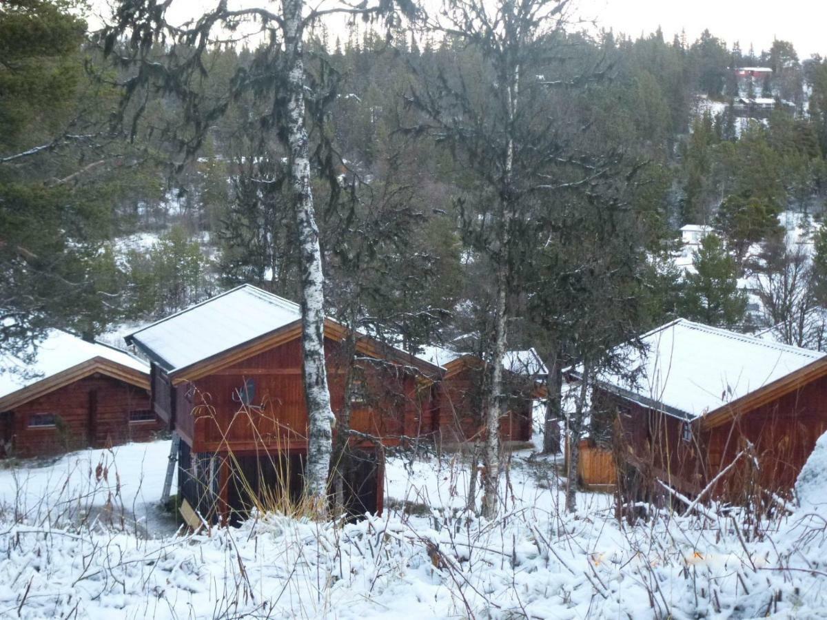 Masaplassen Friisvegen Mountain Lodge Ringebu Exteriér fotografie