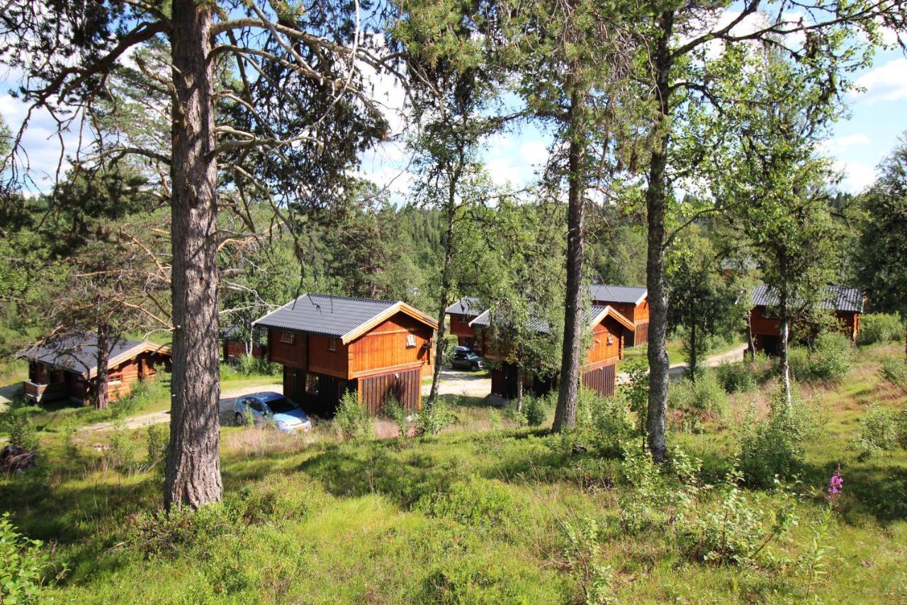 Masaplassen Friisvegen Mountain Lodge Ringebu Exteriér fotografie