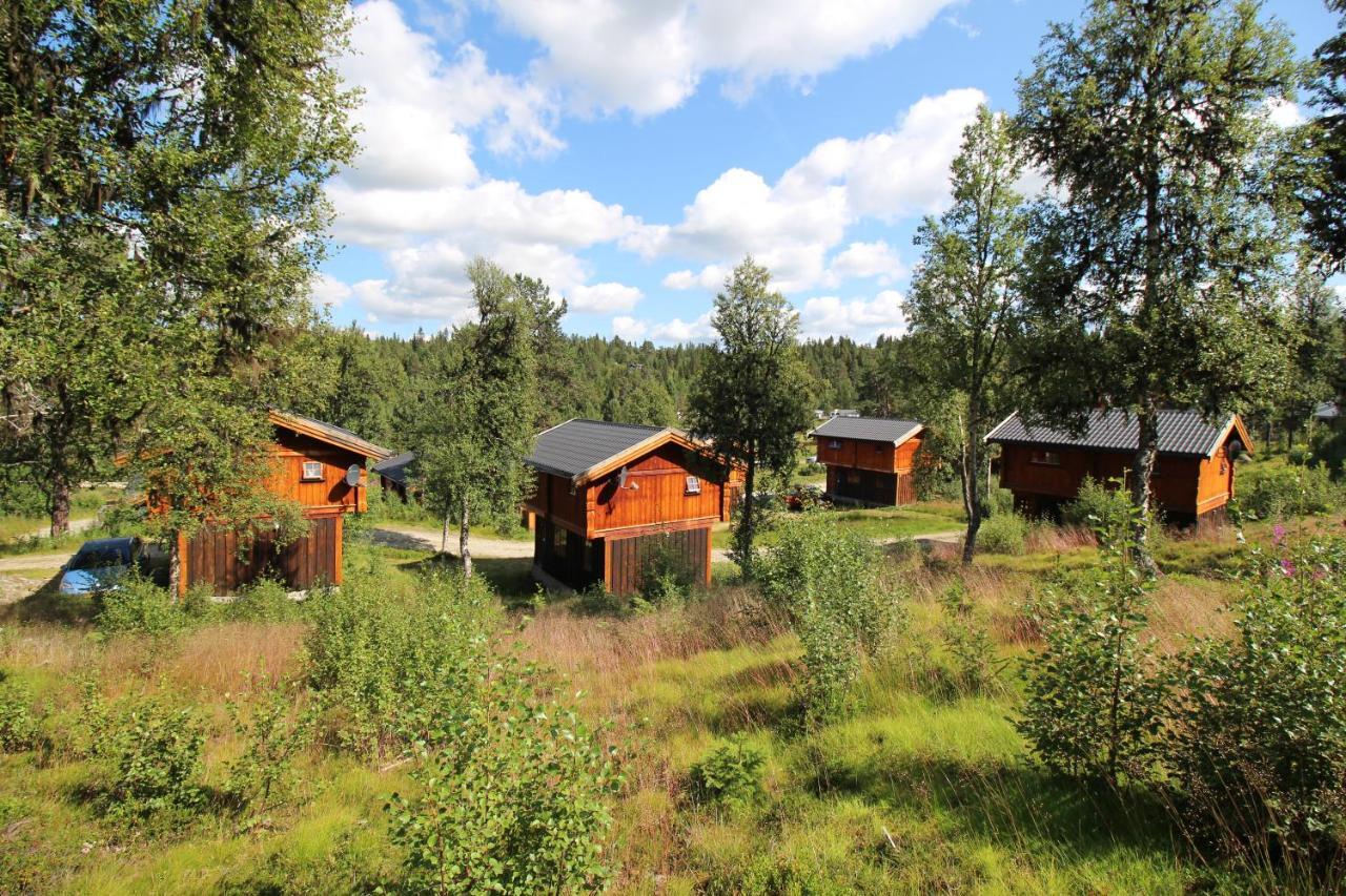 Masaplassen Friisvegen Mountain Lodge Ringebu Exteriér fotografie