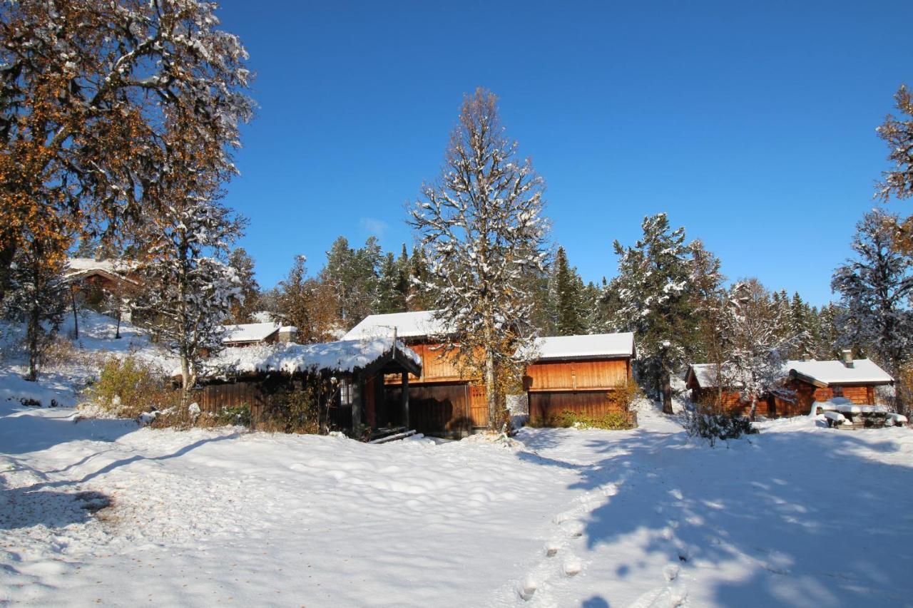 Masaplassen Friisvegen Mountain Lodge Ringebu Exteriér fotografie