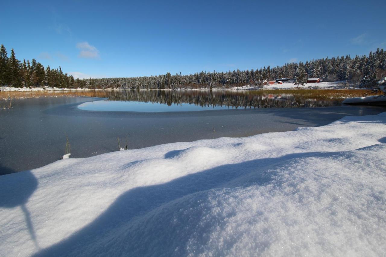 Masaplassen Friisvegen Mountain Lodge Ringebu Exteriér fotografie