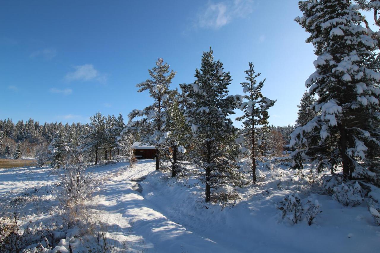 Masaplassen Friisvegen Mountain Lodge Ringebu Exteriér fotografie