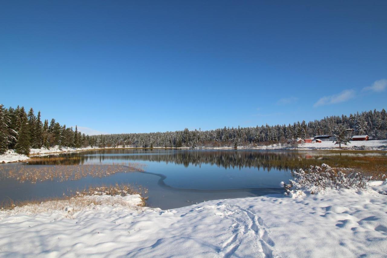 Masaplassen Friisvegen Mountain Lodge Ringebu Exteriér fotografie